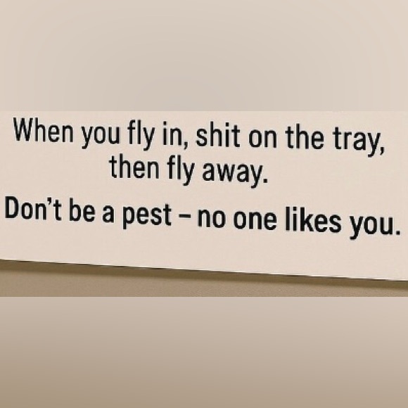 $10-$100 HOLLA & MORE - Picture 16 of 16